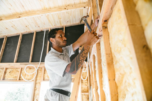 Professional Insulation in Milledgeville, GA